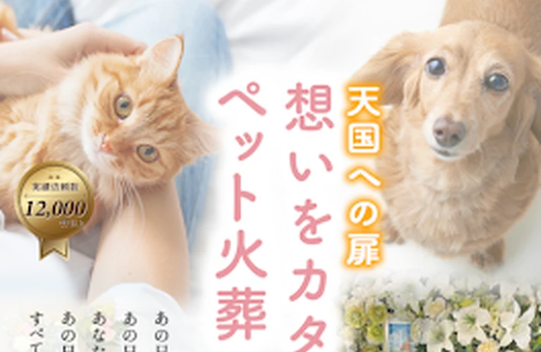 【桜井市の訪問ペット火葬】虹の橋へわたるお手伝いをいたします