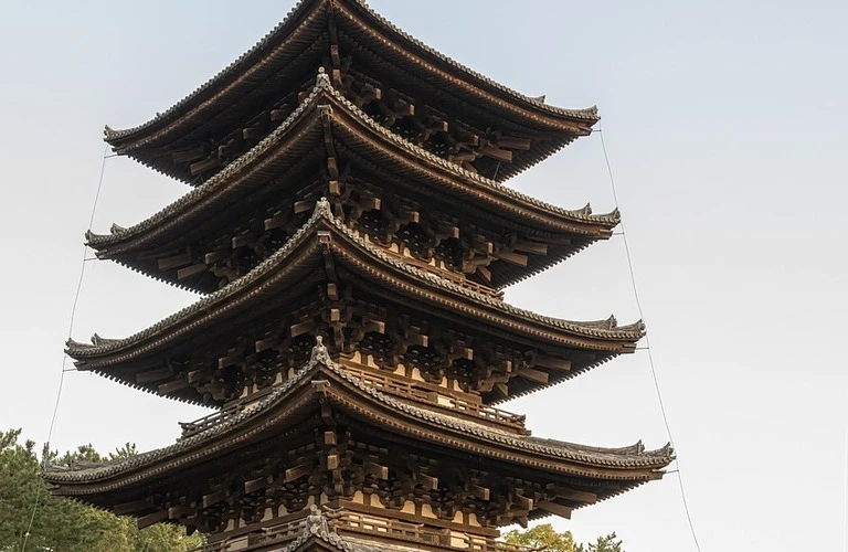 斑鳩町の訪問ペット火葬　心のこもったお別れのお手伝い