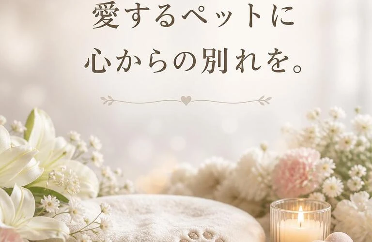 生駒市の訪問ペット火葬