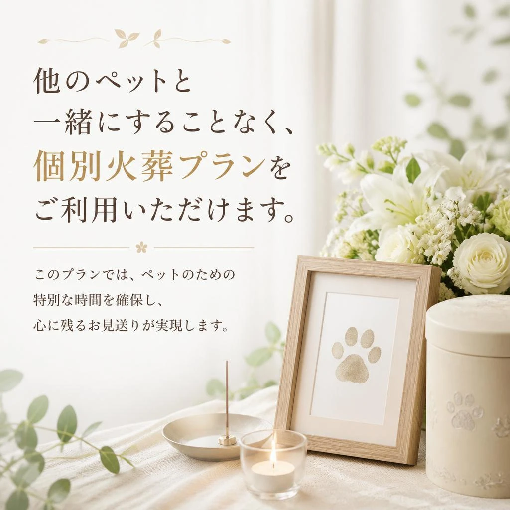 安心の個別火葬プラン