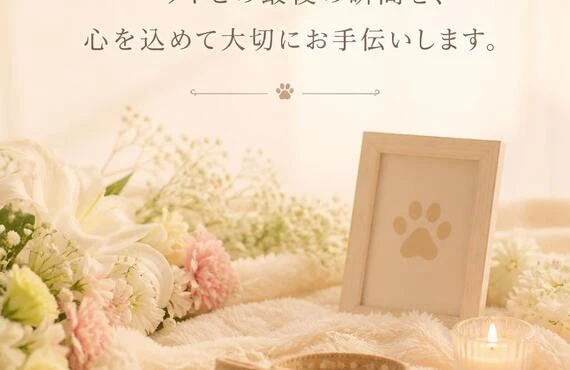 三郷町の訪問ペット火葬　ペットとのお別れの時間を大切に