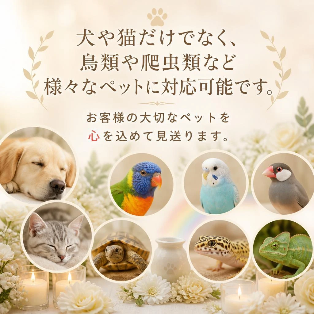 多様なペットに対応