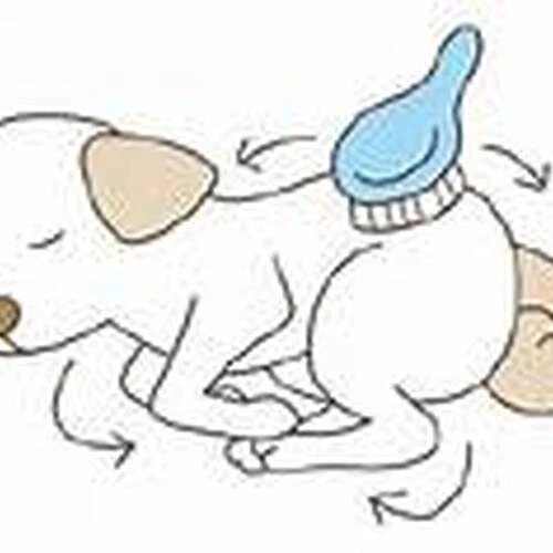 sample_w768_h777