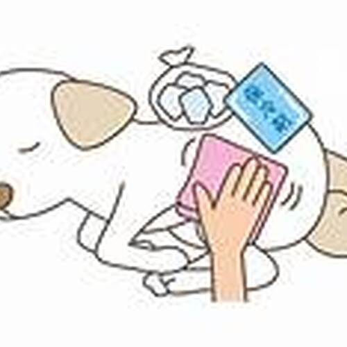 sample_w768_h777